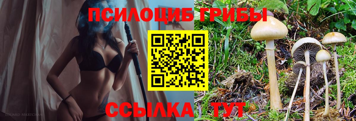 Галлюциногенные грибы прущие грибы  Галлюциногенные грибы Psilocybine cubensis  Вход с VPN  Старая Купавна 